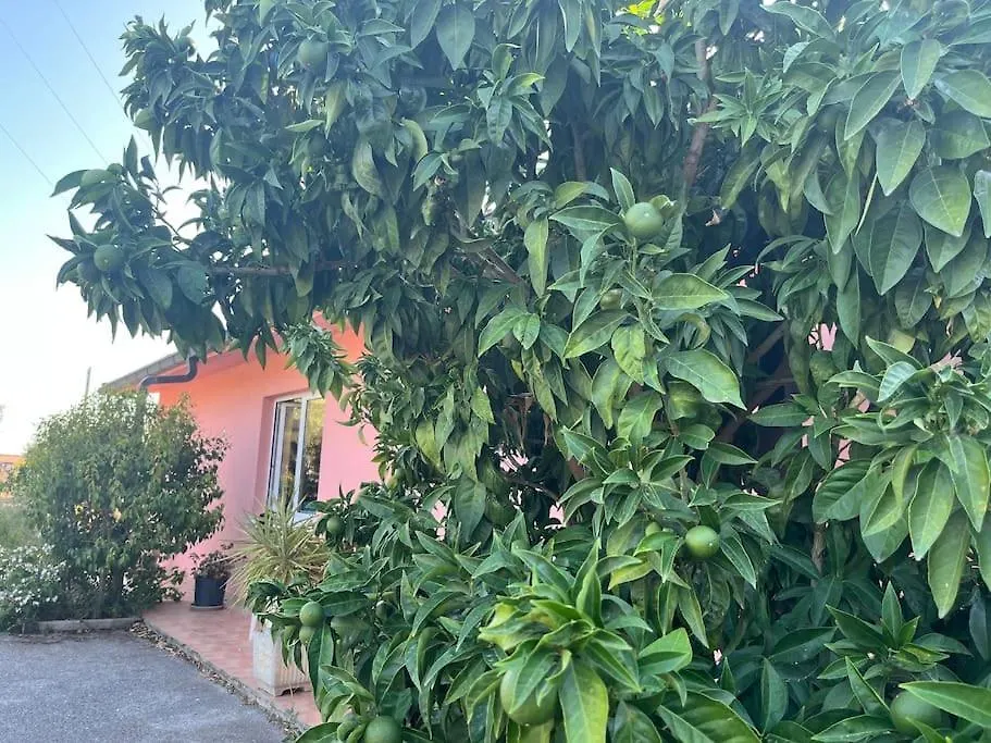 La Puesta Del Sol Emozionanti Tramonti Villa Imperia