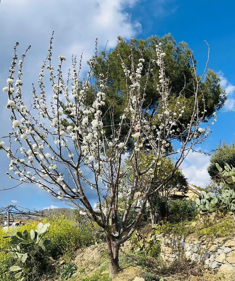 Vila La Puesta Del Sol Emozionanti Tramonti Imperia